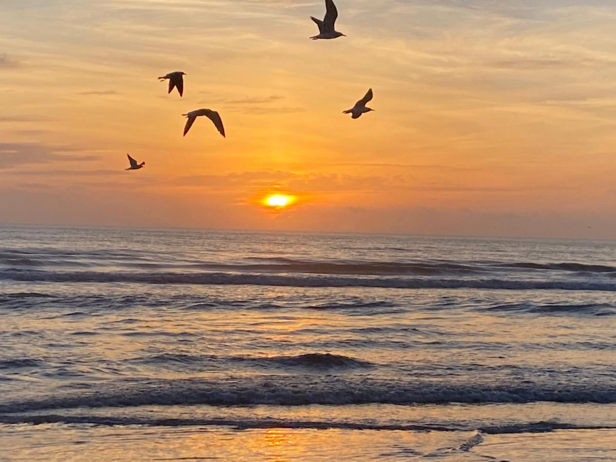 I Need A Vacay Now! Remodeled Studio Daytona Beach Exteriér fotografie